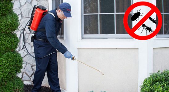 Ataşehir Akrep İlaçlama böcek ilaçlama ve haşere kontrolü — ilaclama-tr.com